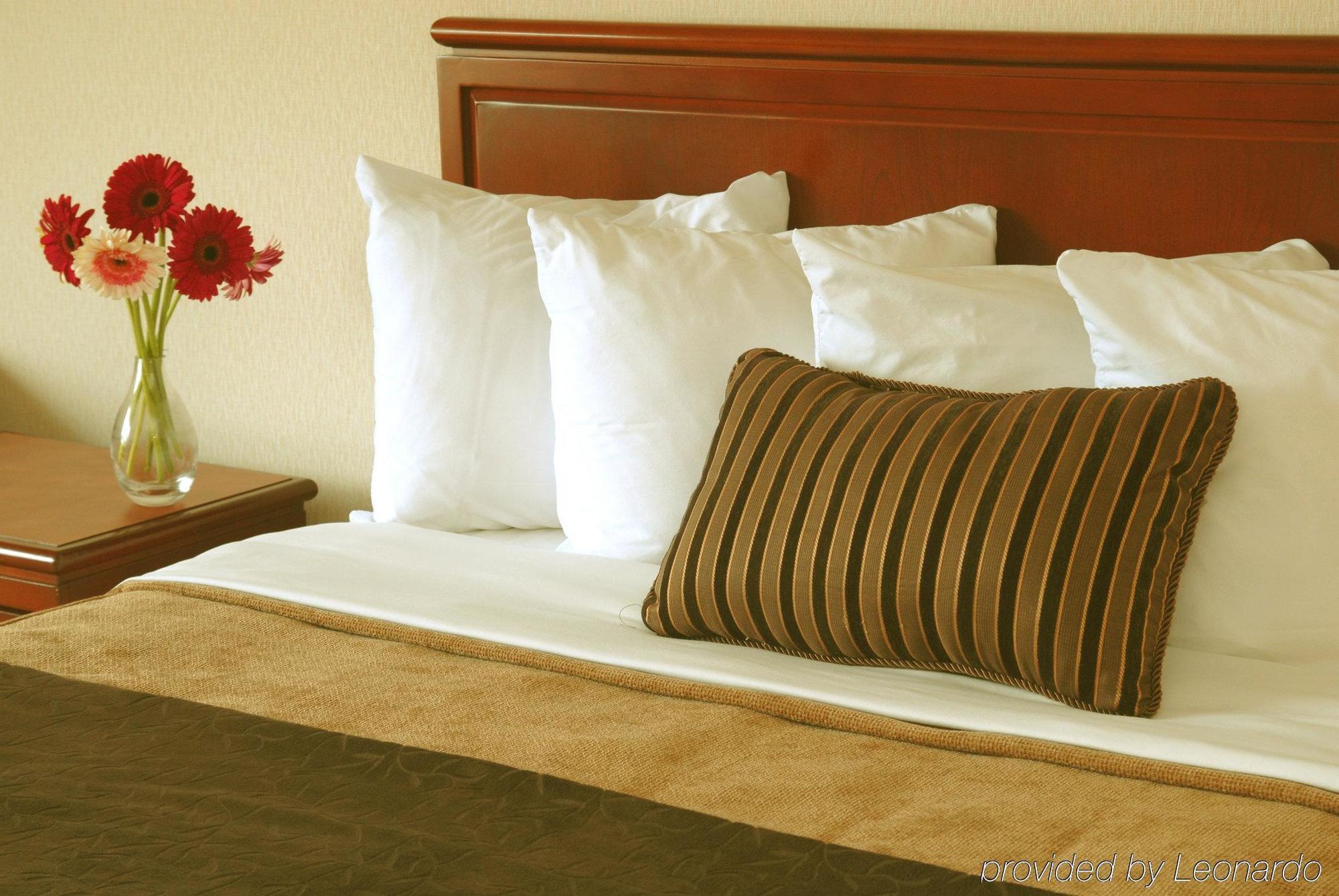 Hotel Doubletree By Hilton St. John'S Harbourview Zimmer foto